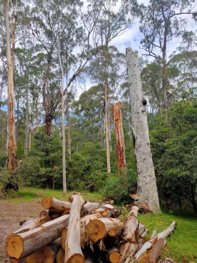 Lakes Entrance Log Cabins Eksteriør bilde